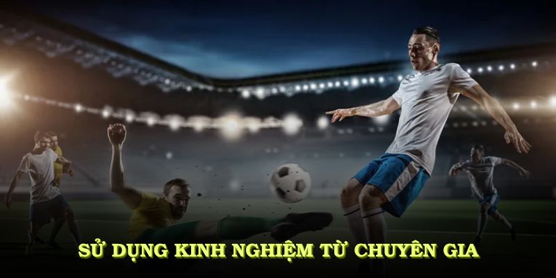 Sử dụng kinh nghiệm từ chuyên gia