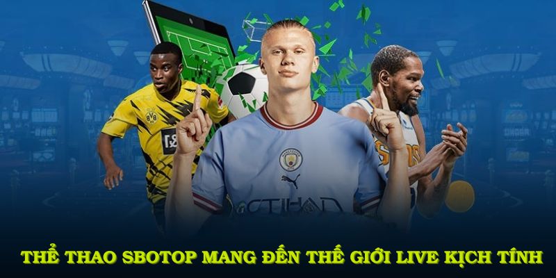 Thể thao SBOTOP mang đến thế giới live kịch tính với biến động từng khoảnh khắc