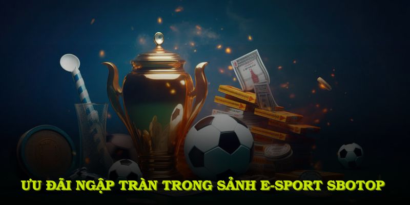 Khám phá các ưu đãi ngập tràn trong sảnh E-sport SBOTOP